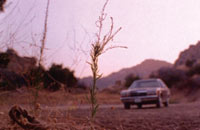 Scena iz filma Autoput (Freeway)